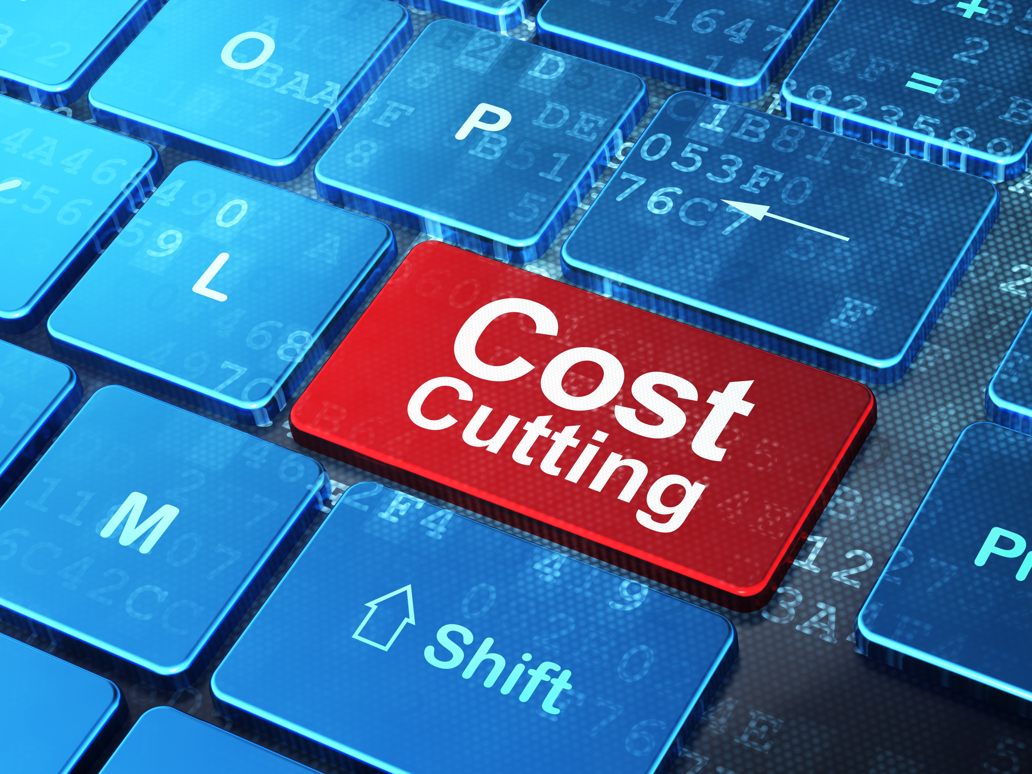 Cost Cutting Through Digitization will be the 2016 Anthem