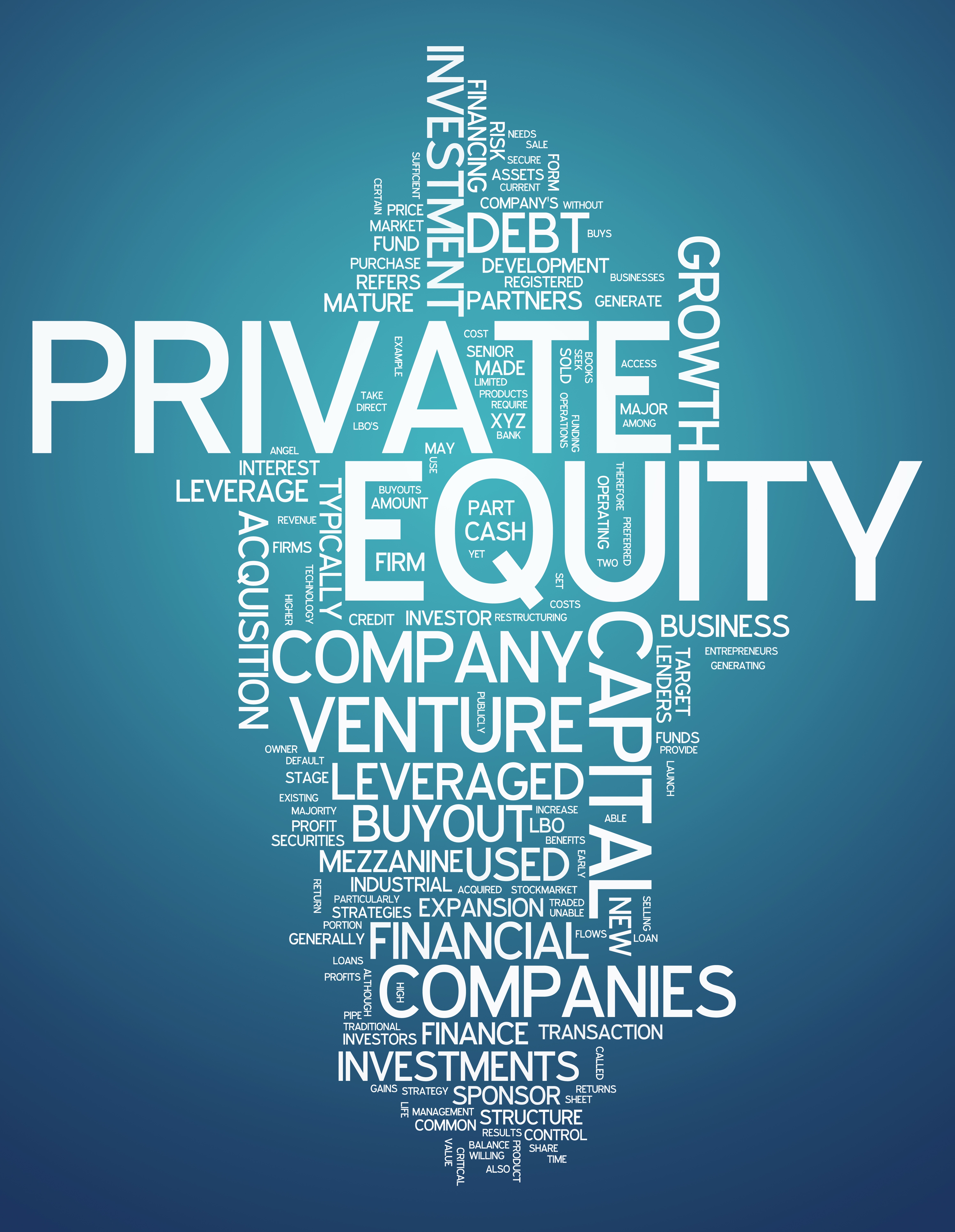 Digital Transformation of Private Equity